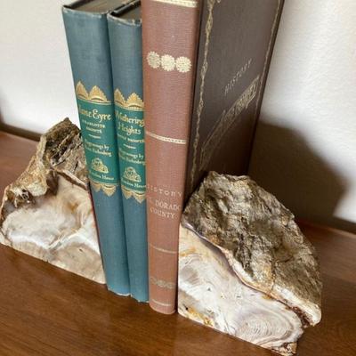 Petrified Wood Bookends