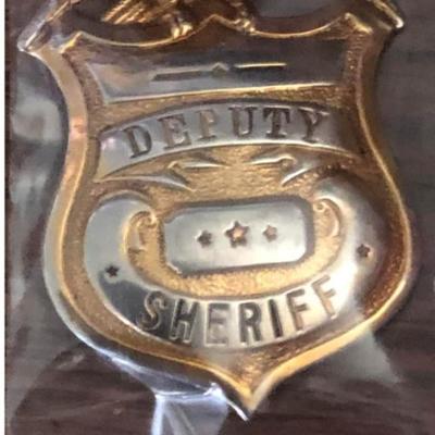 Collectable Lapel pin Deputy Sheriff badge