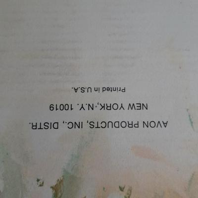 Two matching Avon Terra Cotta Birds with boxes Great candle holders or Plant pots.