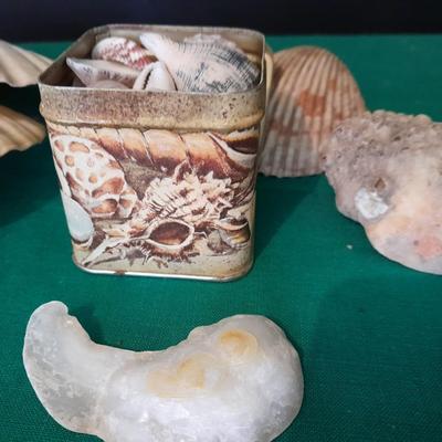 Sea shell Collection and Four piece Lighthouse ceramic coaster set