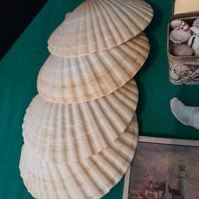 Sea shell Collection and Four piece Lighthouse ceramic coaster set