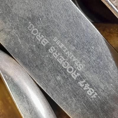 Large assortment of flatware Rogers & sons, Japan Airline, and more