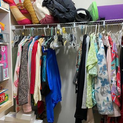 Closet Contents Lot