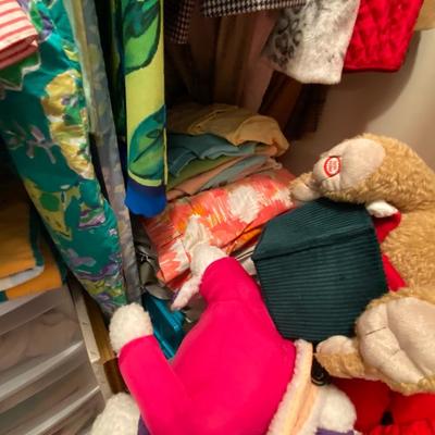 Closet Contents Lot