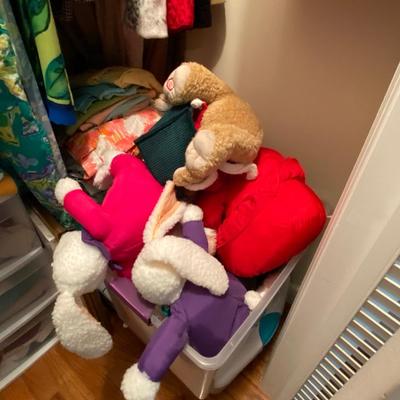 Closet Contents Lot