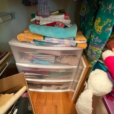 Closet Contents Lot