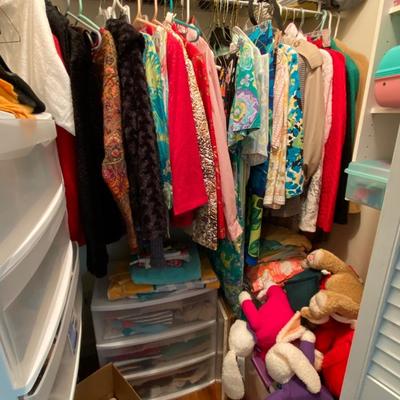Closet Contents Lot