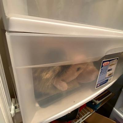 Closet Contents Lot