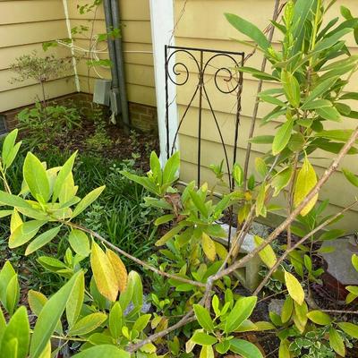 Garden Lot
