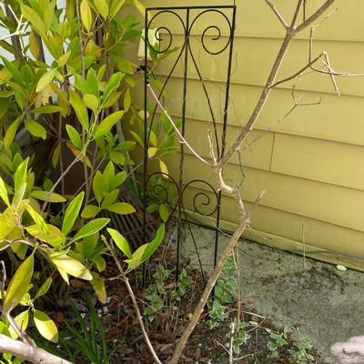 Wagon - Garden Lot