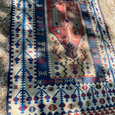 Hand woven rug