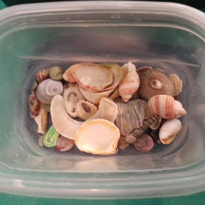 Liquid scented oils for making your own incense sticks, and fibers to make potpourri.