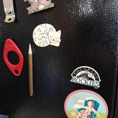 Collection of Refrigerator Magnets