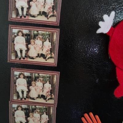 Collection of Refrigerator Magnets