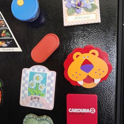 Collection of Refrigerator Magnets