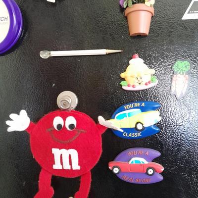 Collection of Refrigerator Magnets