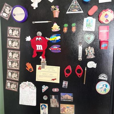 Collection of Refrigerator Magnets