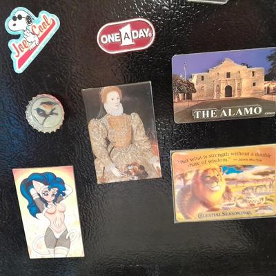 Collection of Refrigerator Magnets