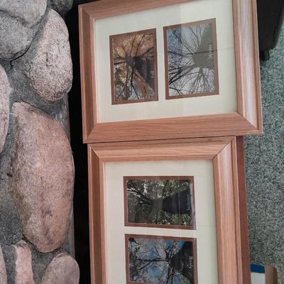 Framed pictures of same tree, different seasons, Summer, Spring, winter and fall.