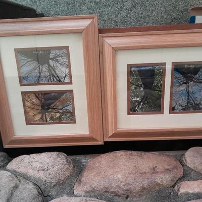 Framed pictures of same tree, different seasons, Summer, Spring, winter and fall.