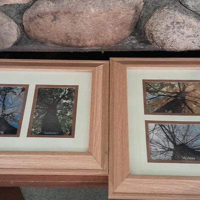 Framed pictures of same tree, different seasons, Summer, Spring, winter and fall.
