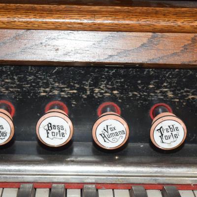 Story & Clark Pump Organ Oak Case Pristine & Works