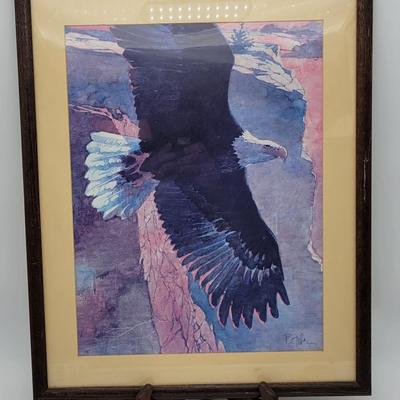 Eagle Framed Art