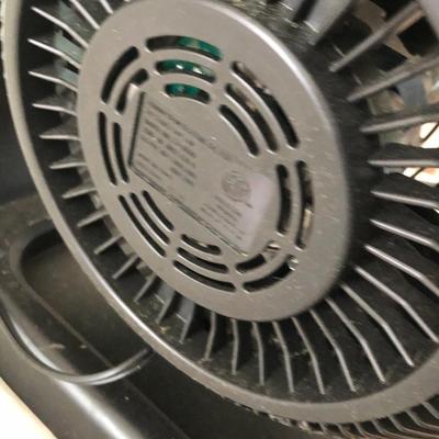 Fan Lot -Lot 240