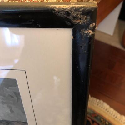 Inns of Philadelphia- Sorrel Horse & Large Floral Print - Both Framed - Lot 229