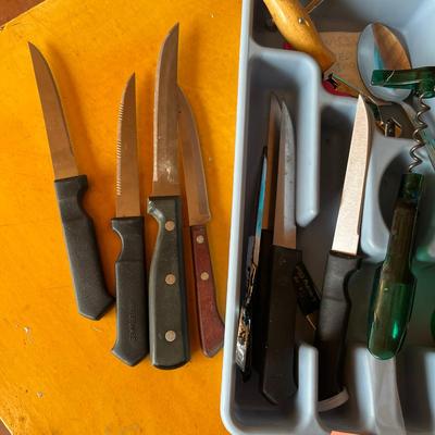 Tray of Utensils