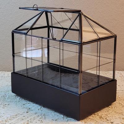 Tall Plant Terrarium Glass â€“ Glass Greenhouse Terrarium with Lid and Tray,Indoor Tabletop Orchid Succulent Cacti Terrarium Kit...