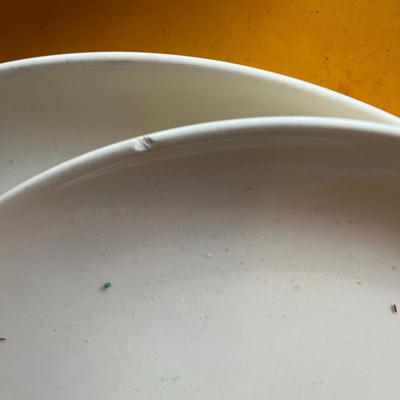 Dinnerware