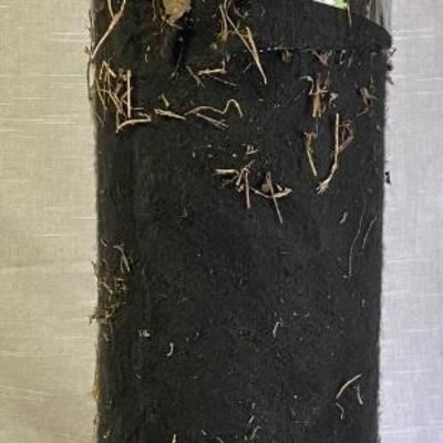Felt for Flower Beds