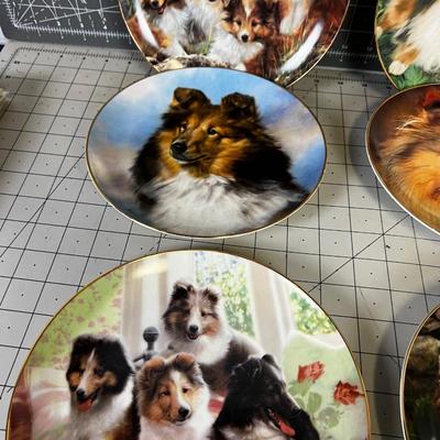 All the Puppy Dog Sheltie Plates, Danbury Mint plus more 