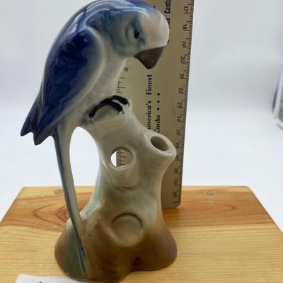 German flower frog/blue parrot