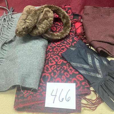 Beautiful Scarves and Gloves