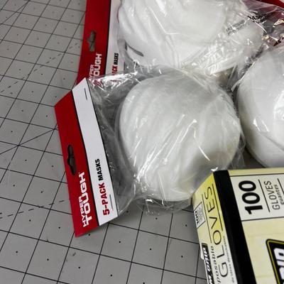 Dust Masks and Latex Gloves