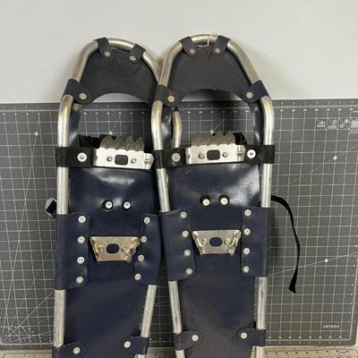 Various Books on CD and DVDs 