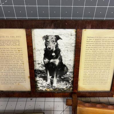 Little Dog Sayings, a Tribute to the DOG!