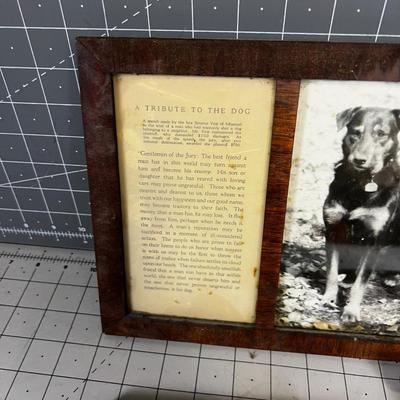 Little Dog Sayings, a Tribute to the DOG!