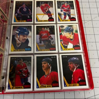 Set of Hockey Cards from 1987-1988 Season