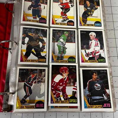 Set of Hockey Cards from 1987-1988 Season
