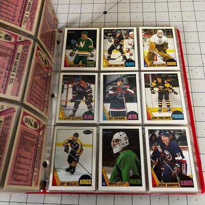 Set of Hockey Cards from 1987-1988 Season