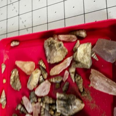 Fossils and Crystal WOO WOO!