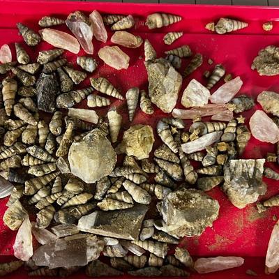 Fossils and Crystal WOO WOO!