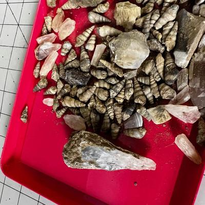 Fossils and Crystal WOO WOO!