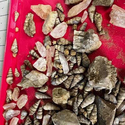 Fossils and Crystal WOO WOO!