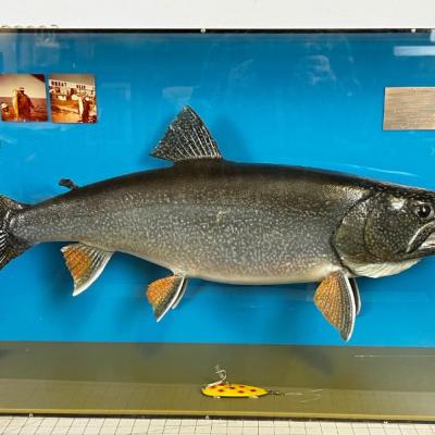 Major Record 28-1/2 Pound Lake Trout, Canadian Caught!