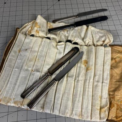 ANTIQUE 12 Silver Plated Dinner Knives in Embroidered Case