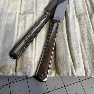 ANTIQUE 12 Silver Plated Dinner Knives in Embroidered Case